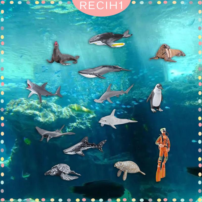 Set 13 Mô Hình Động Vật Dưới Biển Cho Bể Cá 5 6 7 8 Tuổi