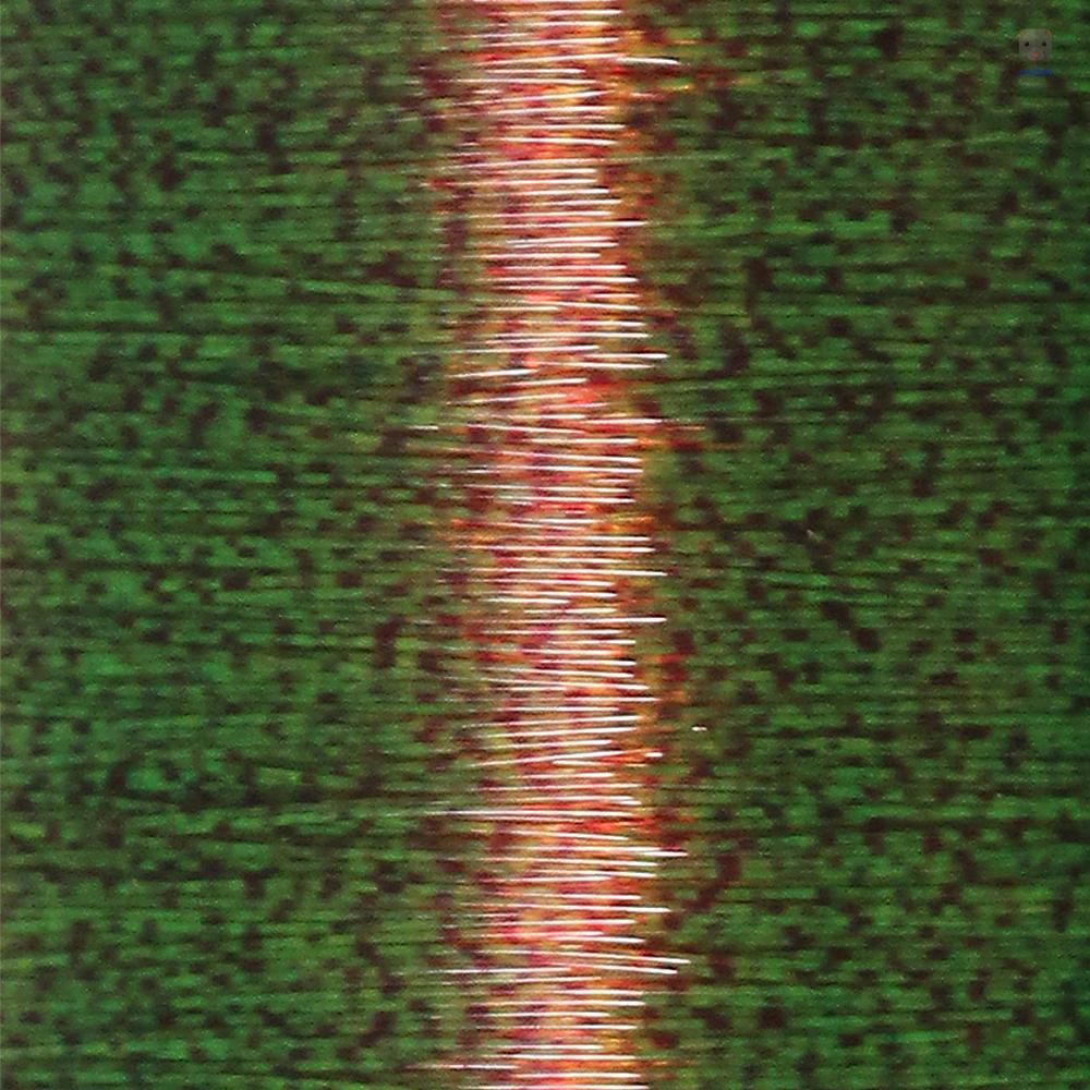 Cuộn Dây Câu Cá 50m Chất Lượng Cao