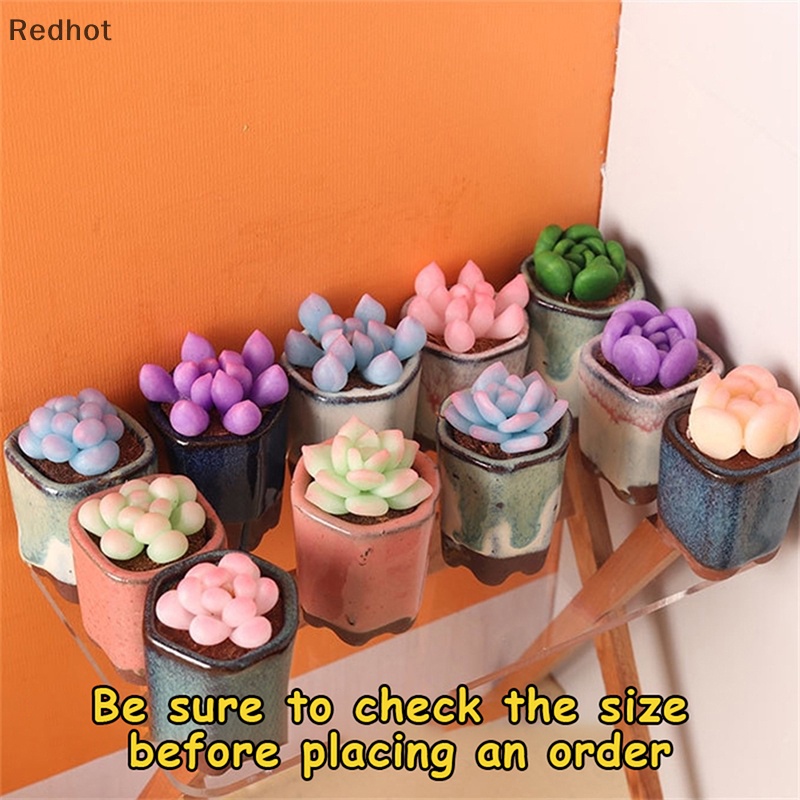 Mô Hình Chậu Cây Sen Đá Trang Trí Nhà Búp Bê Tỉ Lệ 1: 6