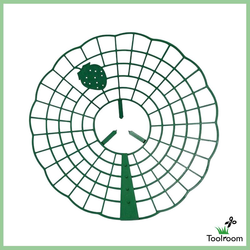 Giá Đỡ Hỗ Trợ Trồng Dâu Tây Tiện Dụng Cho Sân Vườn