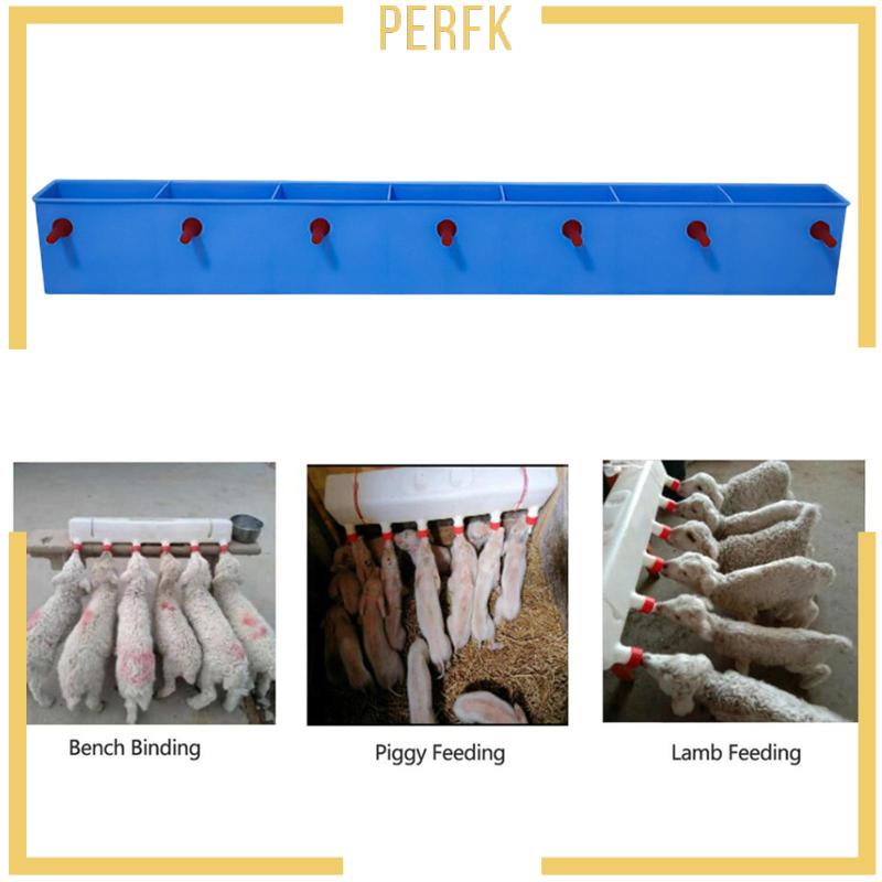 Set 6 Núm Vú Giả Cho Bé Uống Sữa