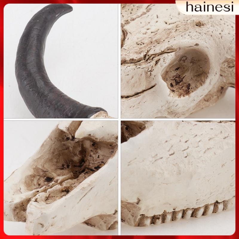 Mô Hình Đầu Lâu Bò Sát Treo Tường Trang Trí