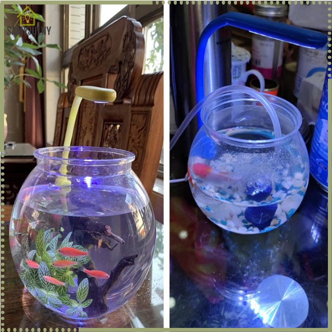 Bể Cá Hình Cầu Trong Suốt Chống Rơi Vỡ Chống Vỡ Trang Trí Phòng Khách / Tiệc Cưới