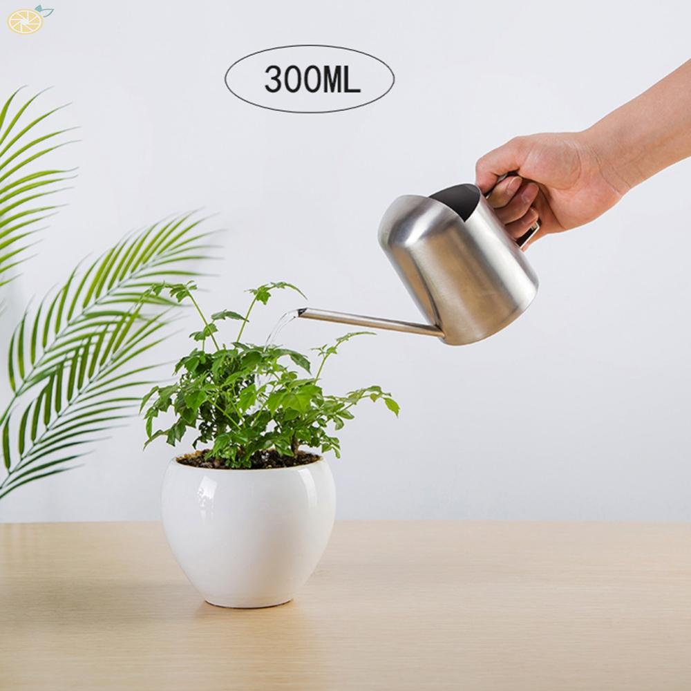 【VARSTR】Stainless Steel Watering Can with 300 ML Capacity Long Spout for Bonsai and Small Plants