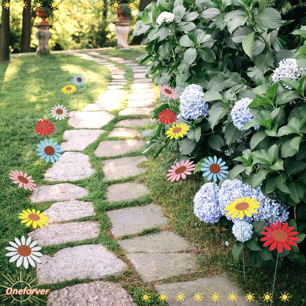 Cọc Patio Daisy Nhiều Màu Sắc