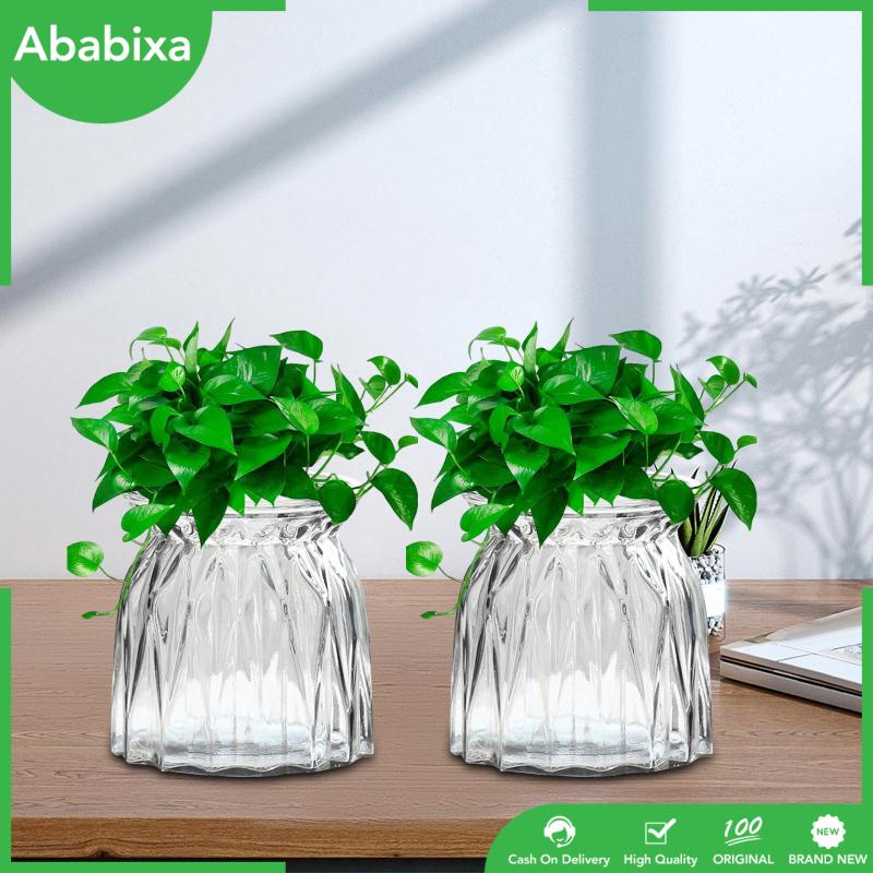 Set 2 Lọ Thủy Tinh Trồng Cây Khô Kèm Giá Đỡ Dành Cho Nhà Bếp / Phòng Ngủ