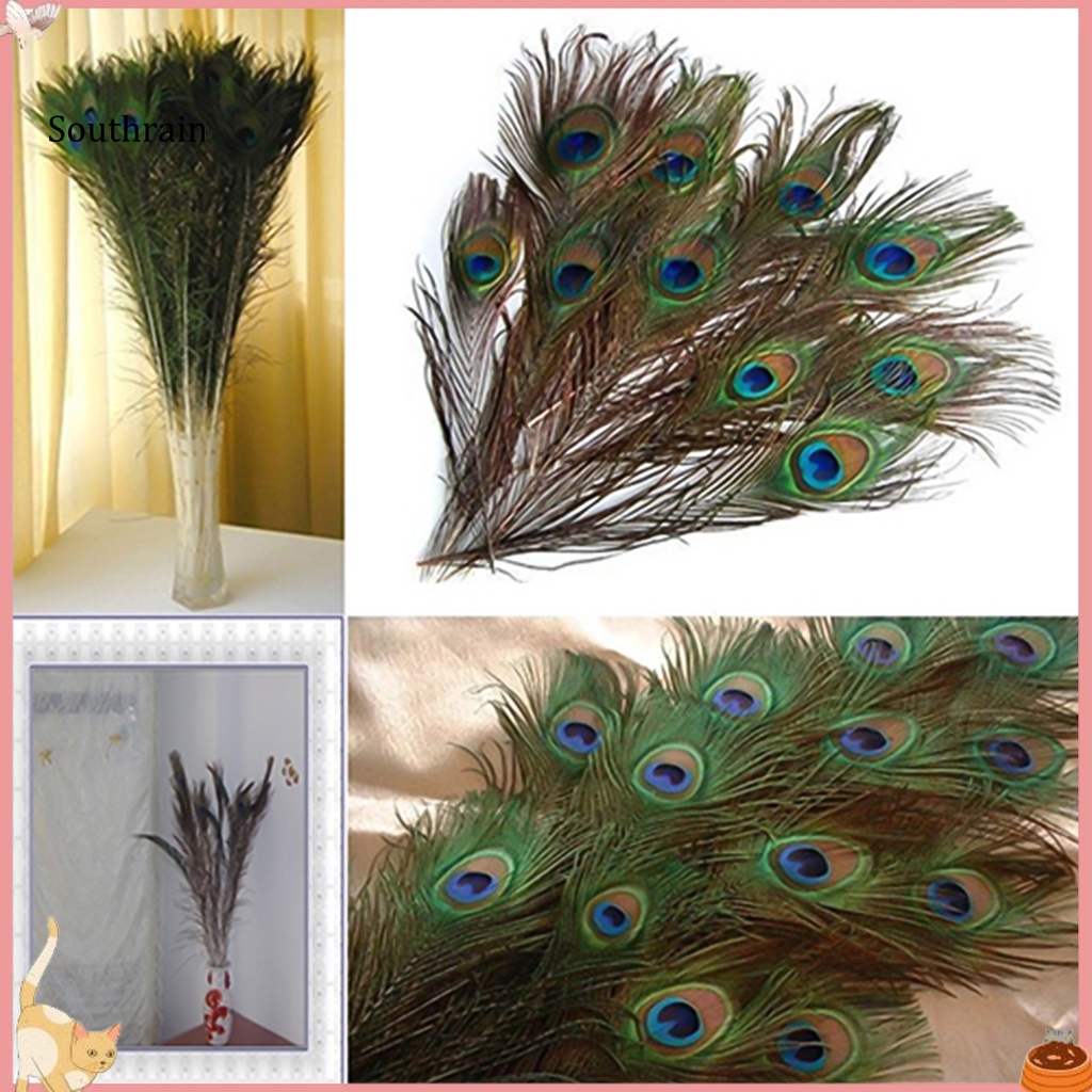 Set 10 Lông Công Tự Nhiên Quyến Rũ Dùng Để Trang Trí Đồ Thủ Công