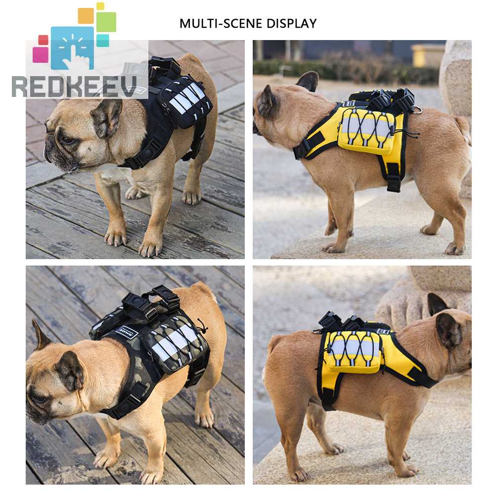 Ba Lô Đựng Thú Cưng Đi Bộ / Leo Núi Kèm Dây Đeo Tùy Chỉnh Tiện Dụng Cho