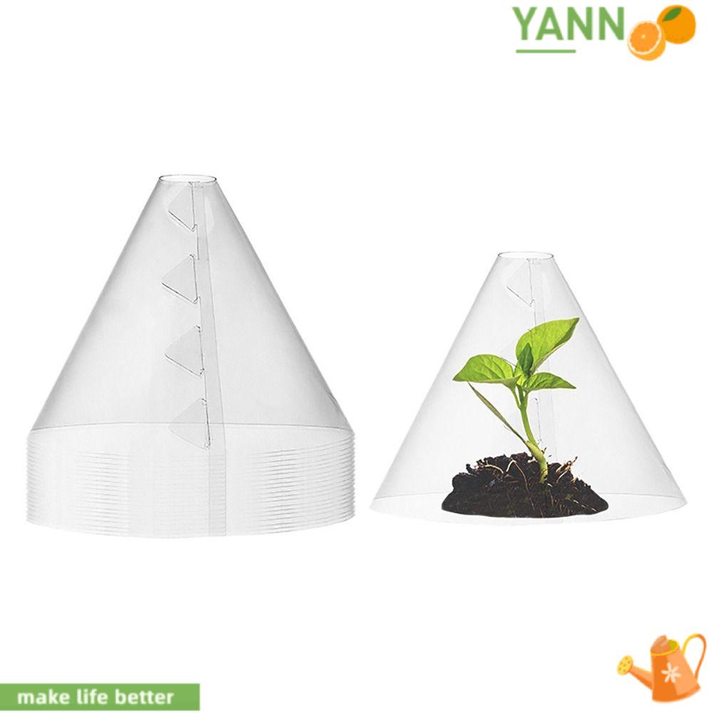 10 Chậu Trồng Cây Mọng Nước Tái Sử Dụng Được 1 Lần