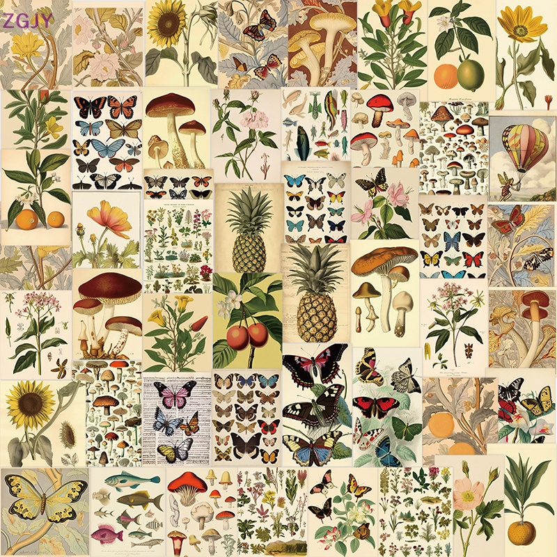 Bộ 50 Miếng Dán Trang Trí Laptop Họa Tiết Trái Cây Graffiti Đơn Giản Kiểu Retro Mới