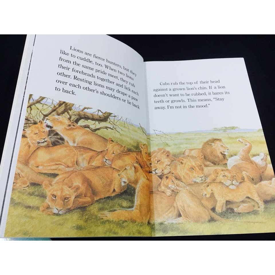 Hàng nhập 27q - Step into reading 4