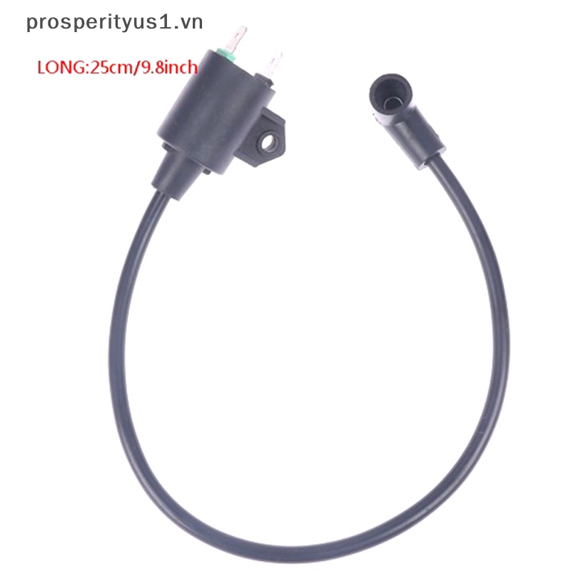 Cuộn Dây Đánh Lửa Cho Động Cơ GAS prosperityus1 ET950 ET650