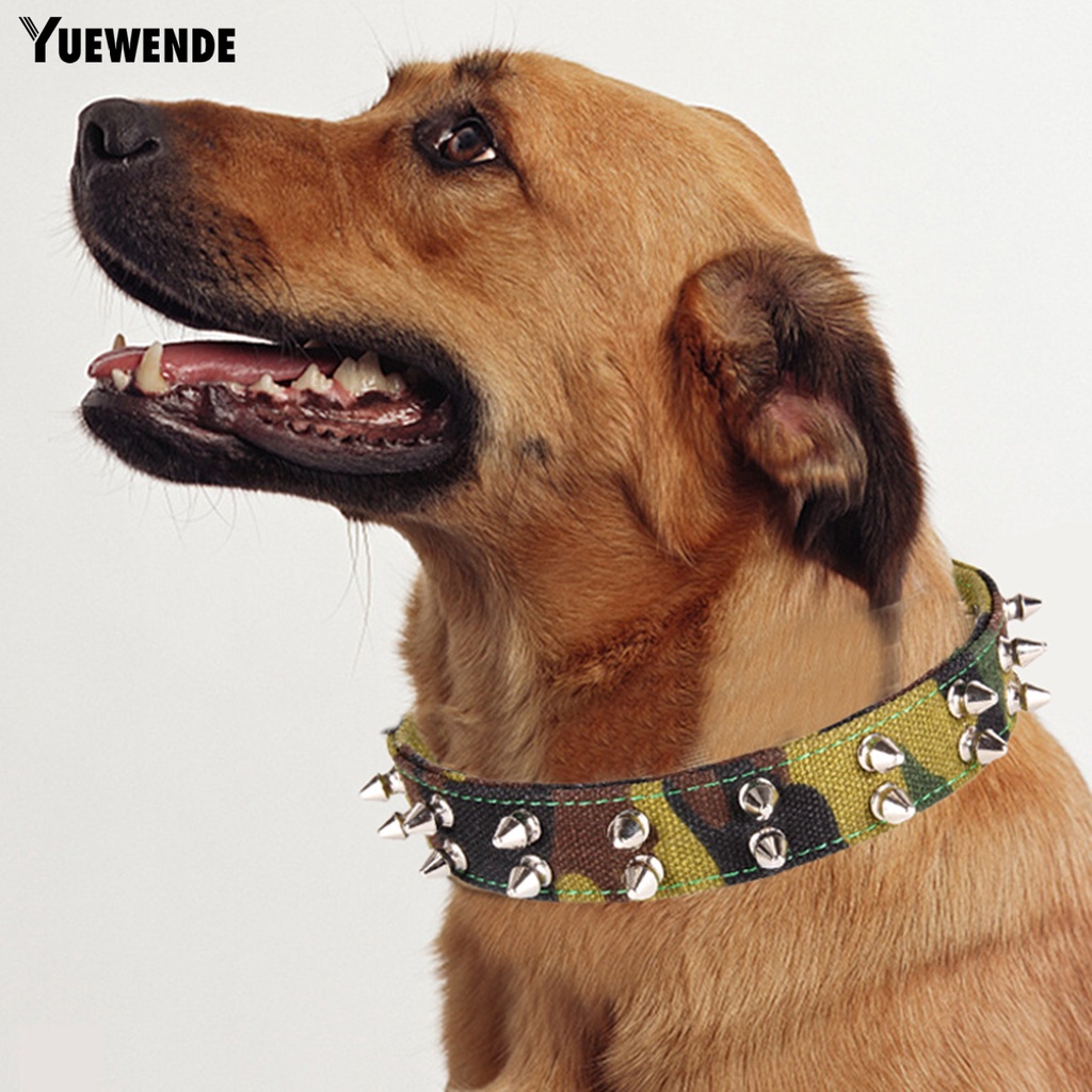 Yq.e Vòng Cổ Canvas Họa Tiết Rằn Ri Đính Đinh Tán Có Thể Điều Chỉnh Trang Trí Thời Trang Dành Cho Cún Cỡ