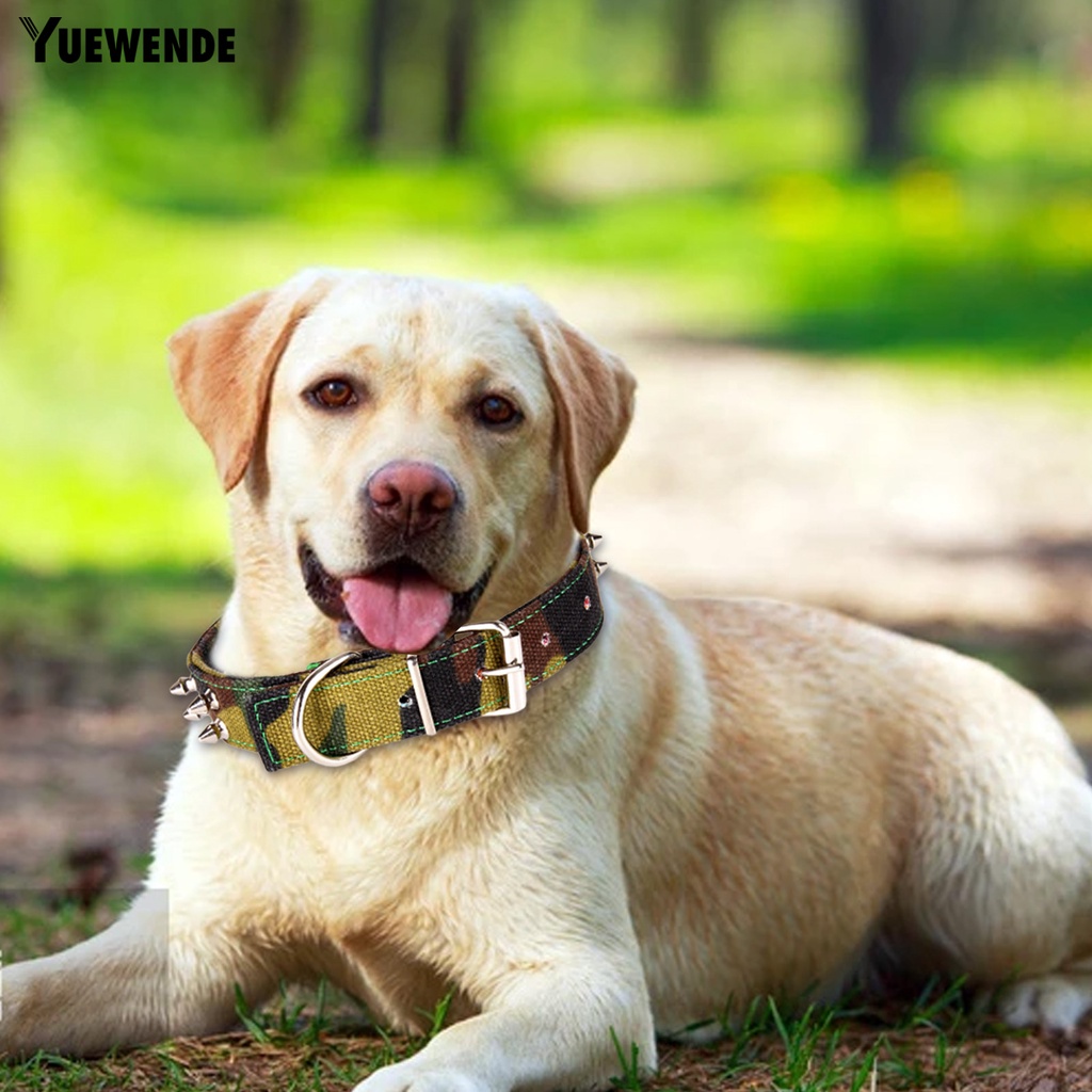 Yq.e Vòng Cổ Canvas Họa Tiết Rằn Ri Đính Đinh Tán Có Thể Điều Chỉnh Trang Trí Thời Trang Dành Cho Cún Cỡ