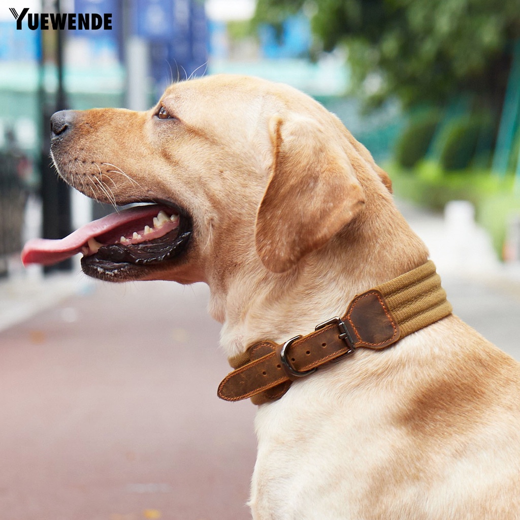 Vòng Cổ Giả Da Thoáng Khí Cho Thú Cưng