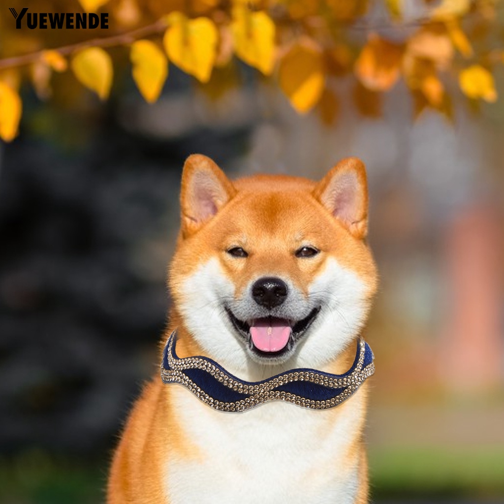 Vòng Cổ Đính Kim Cương Giả Chống Mài Mòn Cho Thú Cưng YQ.E