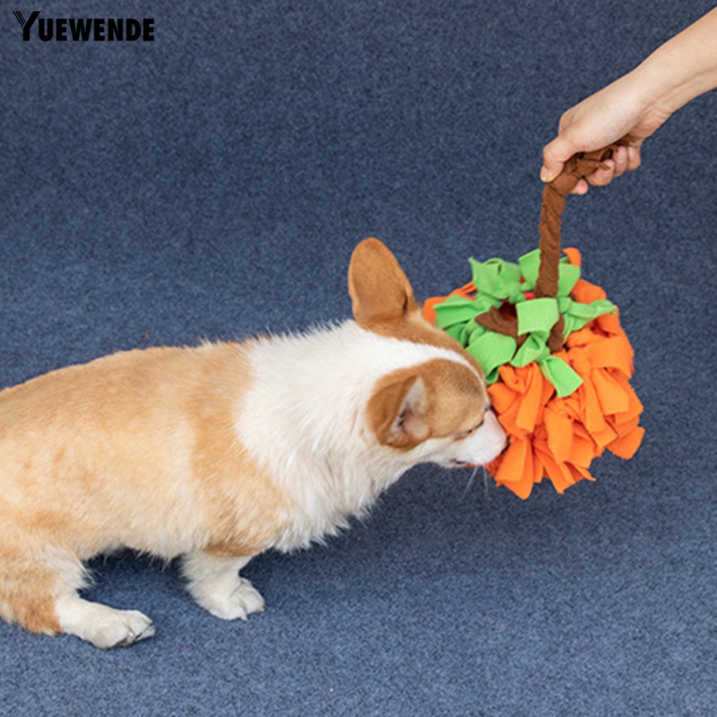 Quả Bóng Đồ Chơi Hình Bí Ngô Chống Cắn Cho Thú Cưng