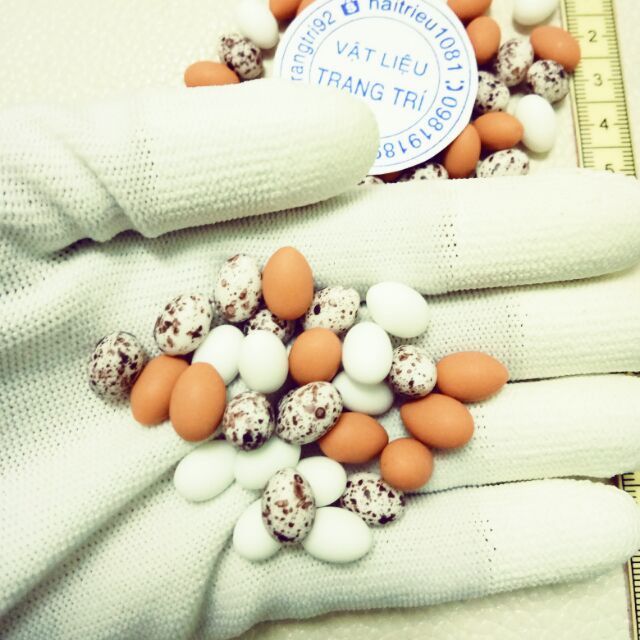 Mô hình Trứng gà, vịt, cút charm slime | Mini House