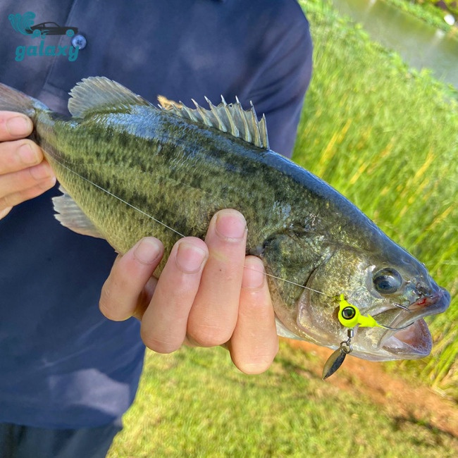 Galaxy Set 5 Mồi Giả Nhử Cá 3.5g 5g 7g 10g Gắn Kèm Móc Câu