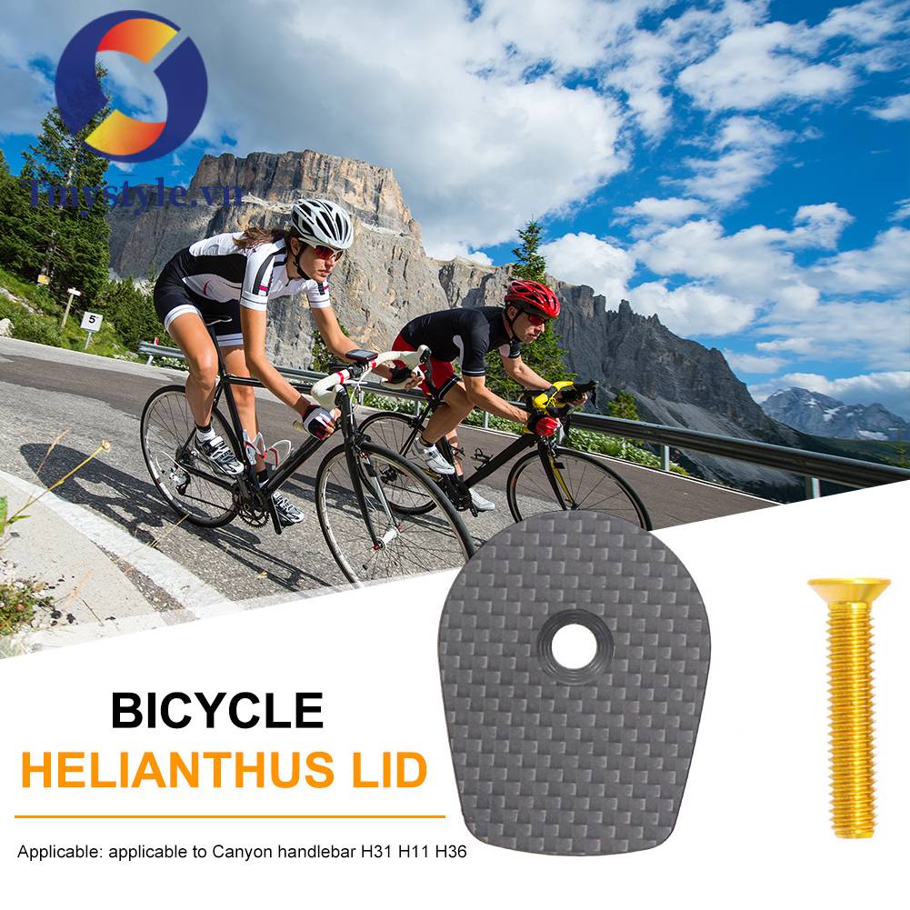 Phụ Tùng Tay Lái Xe Đạp H31 H11 H36 Bằng Sợi Carbon Chất Lượng Cao