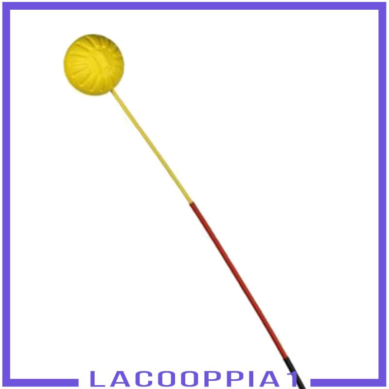 Dụng Cụ Luyện Tập Chơi Tennis Cho Người Mới Bắt Đầu