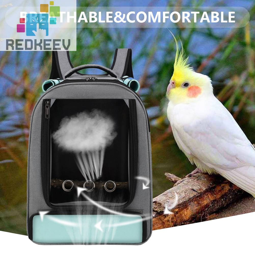 Đai Địu Thú Cưng Thiết Kế Thoáng Khí Tùy Chỉnh Tiện Dụng Cho Vẹt