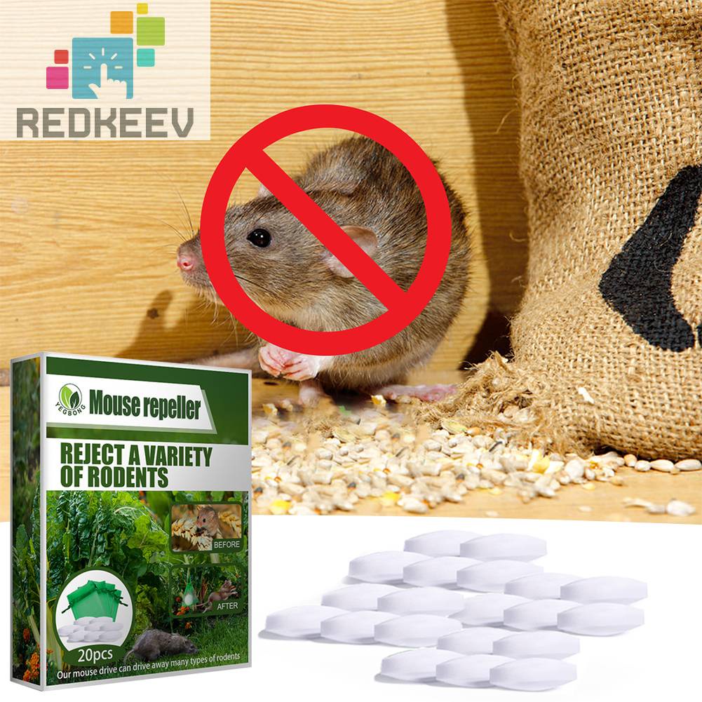 Set 8 Bóng Đuổi Chuột Tiện Dụng Chất Lượng Cao