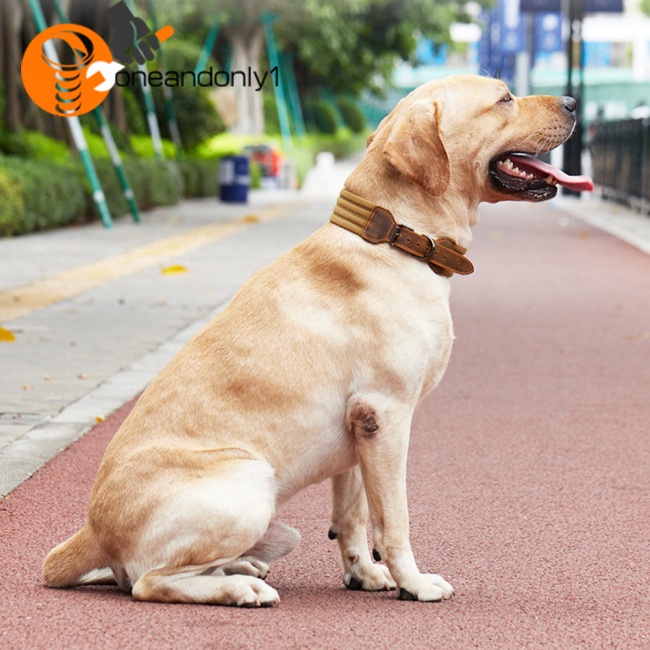 Vòng Cổ Da Bò Mềm Mại Có Thể Điều Chỉnh Huấn Luyện Cún Cỡ Vừa Và Lớn