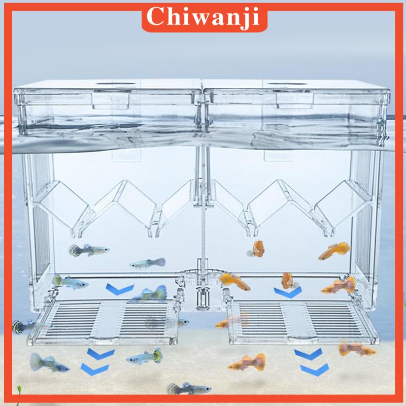 Hộp Nuôi Cá Dễ Sử Dụng Cho Văn Phòng Guppy Betta