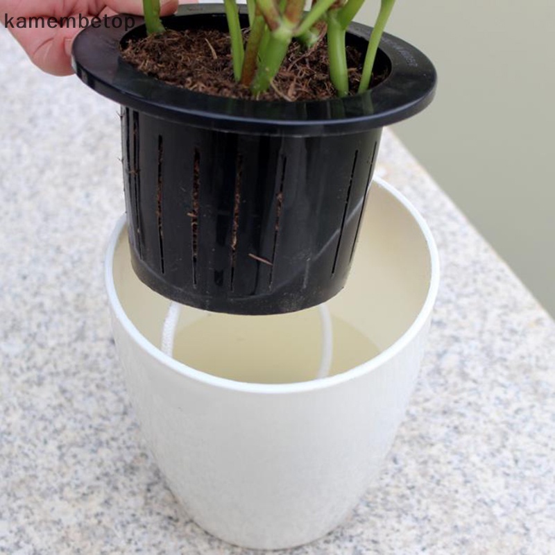 Chậu Trồng Cây Hấp Thụ Nước Tự Động Tiện Lợi