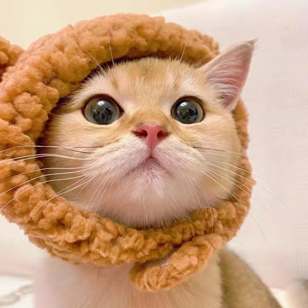 NORMAN Băng Đô Cài Tóc Bằng Vải Bông Mềm Mại Thoải Mái Cho Thú Cưng