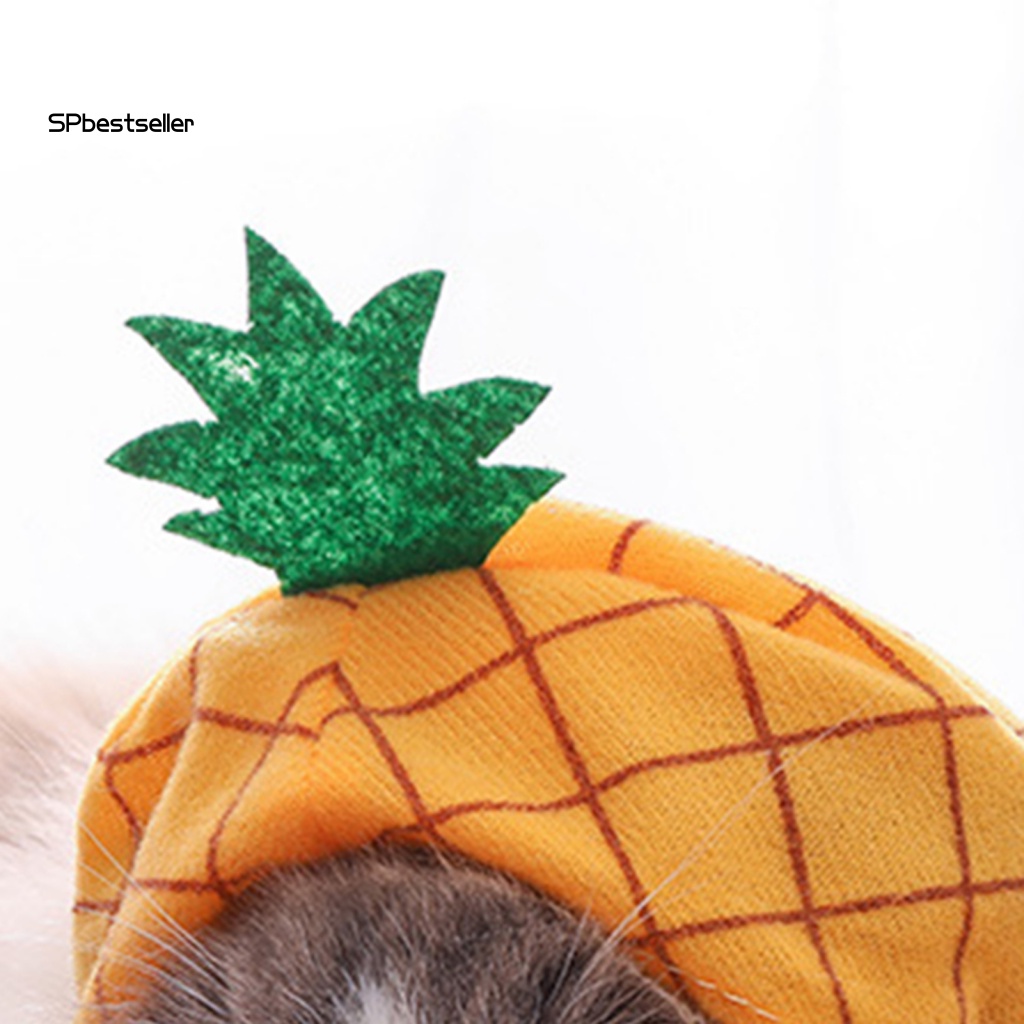 Mũ Chống Nắng Lâu Trôi In Họa Tiết Trái Cây Vui Nhộn Cho Thú Cưng