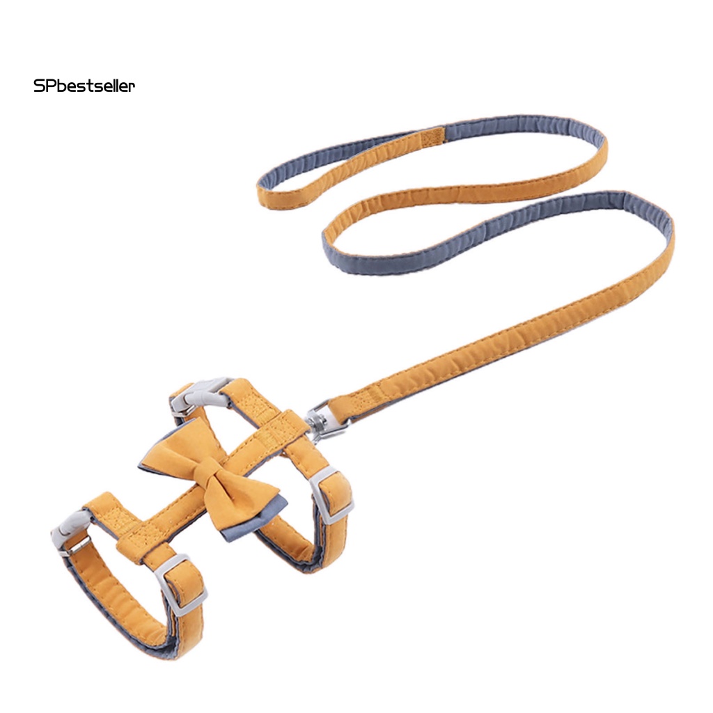Dây Dắt Thú Cưng Đi Dạo Hình Nơ Chữ I Thân Thiện Với Môi Trường Chống Biến Dạng