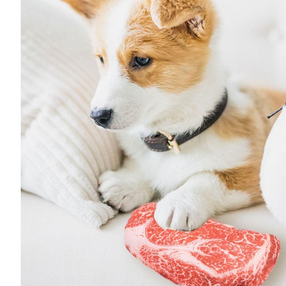 GIOVANNI Steak Đồ Chơi Mô Phỏng Bằng Cotton Oxford Chống Cắn Làm Sạch Răng Cho Thú Cưng