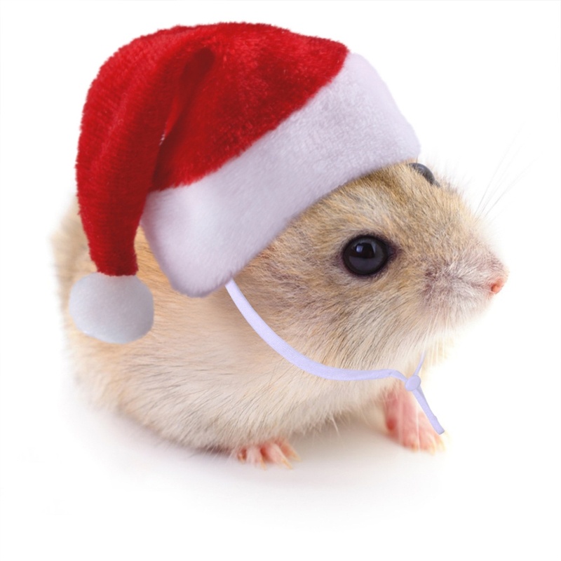 Mũ Trùm Đầu Mềm Điều Chỉnh Được Hình Ông Già Noel / Chuột hamster Đáng Yêu Trang Trí Lễ Hội / cosplay