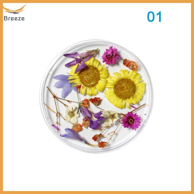 Hoa Khô Trang Trí Móng Tay Nghệ Thuật