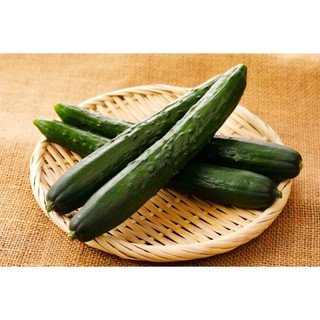 Hạt Giống Dưa Chuột (Dưa Leo) NHẬT - 1gr