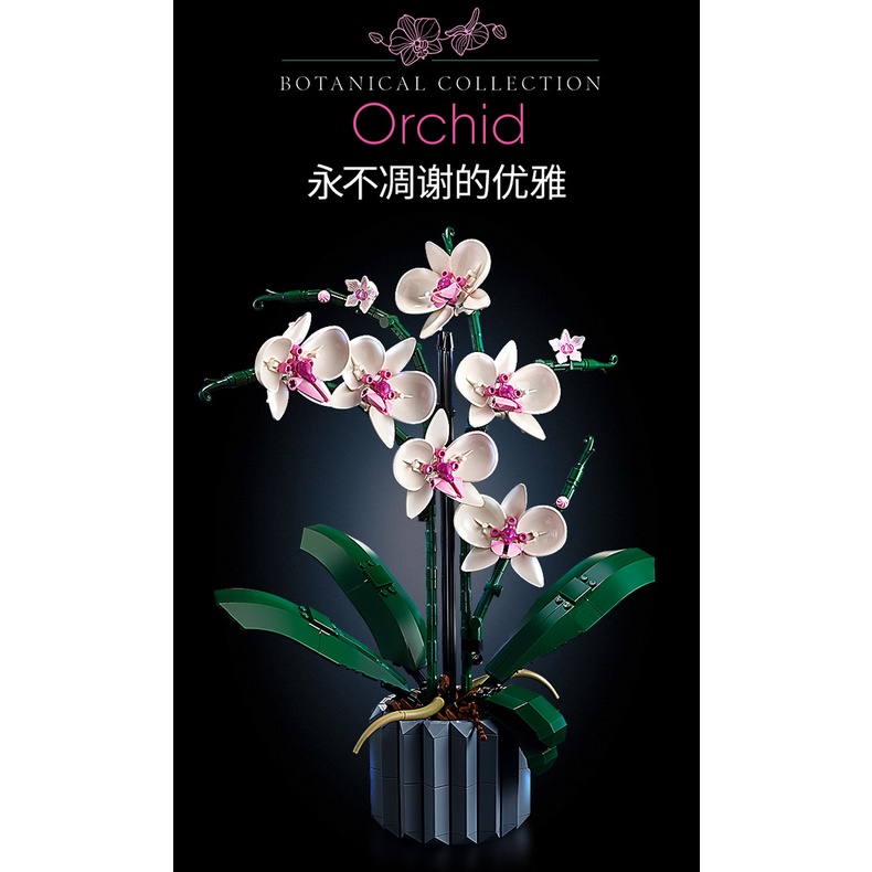 Bộ Đồ Chơi Lắp Ráp Hình Chậu Hoa Lan