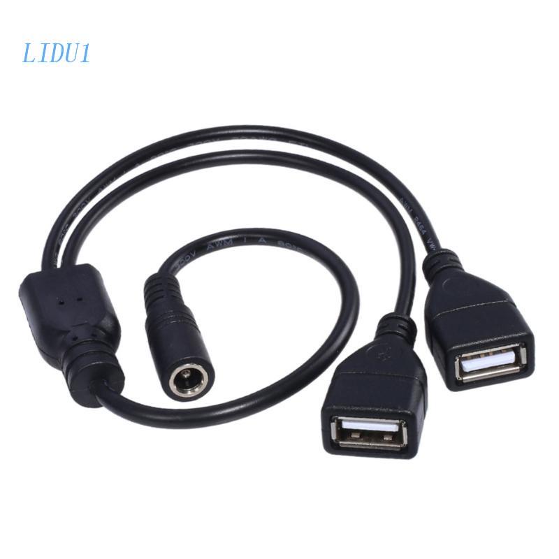 Dây Cáp Sạc LIDU1 DC 5.5X2.1mm Female Sang 2 USB Female 5V