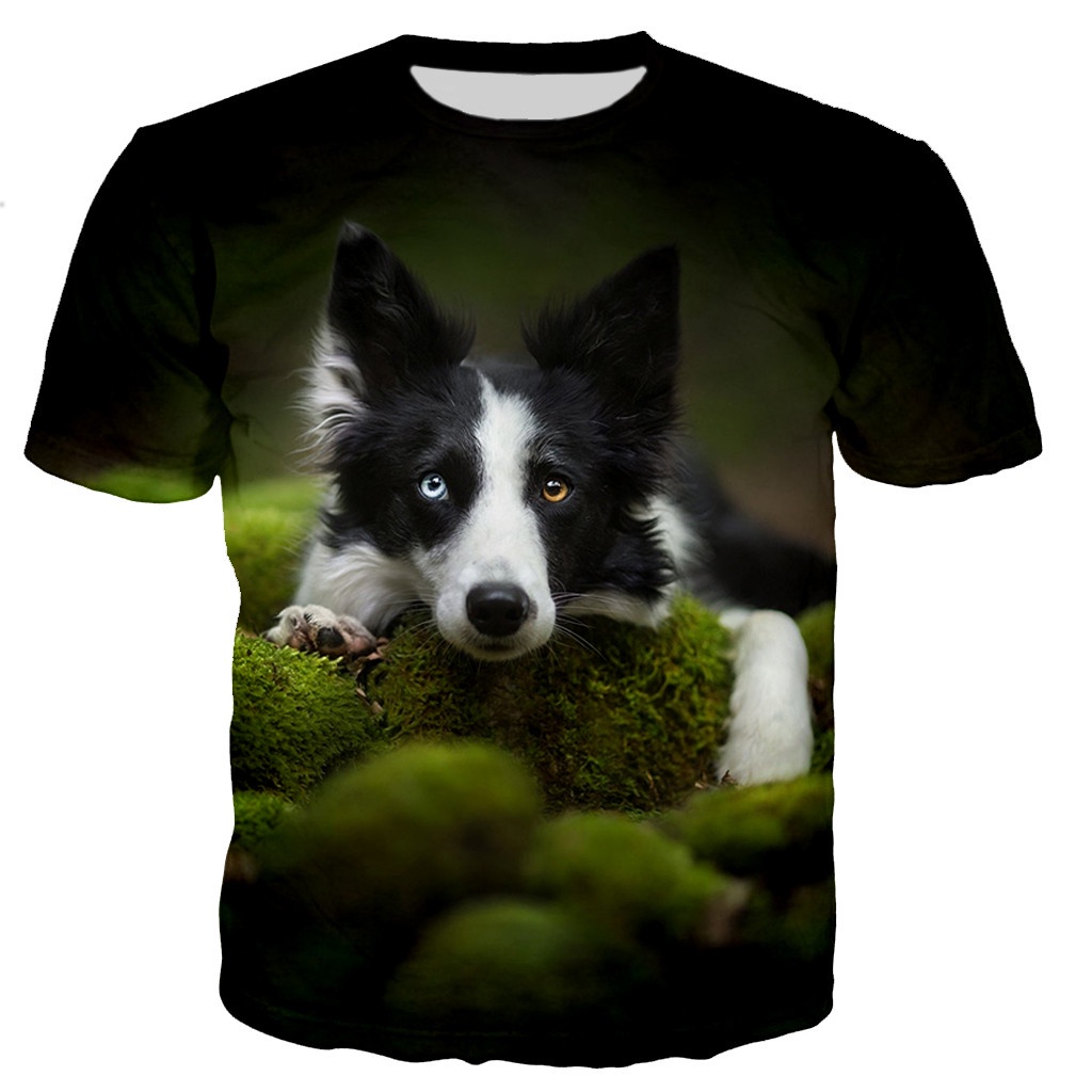 Áo Thun Tay Ngắn In Hình Collie 3D Thời Trang 2022 Dành Cho Nam Nữ|Bộ Đồ Lót Cao Cấp Thời Trang Dành Cho Bé