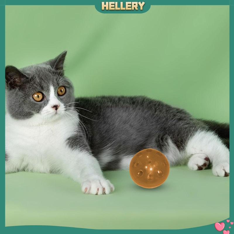 Đồ Chơi Gặm Tương Tác Di Động Chống Cắn Cho Thú Cưng