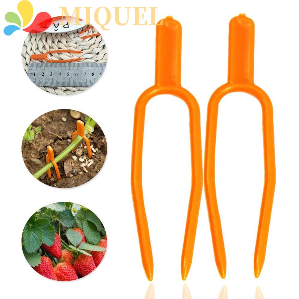 Kẹp Nhựa Cố Định Cây Nông Nghiệp Chuyên Dùng