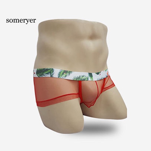 Quần Lót Lưới Mỏng Xuyên Thấu Thời Trang Quyến Rũ Dành Cho Nam