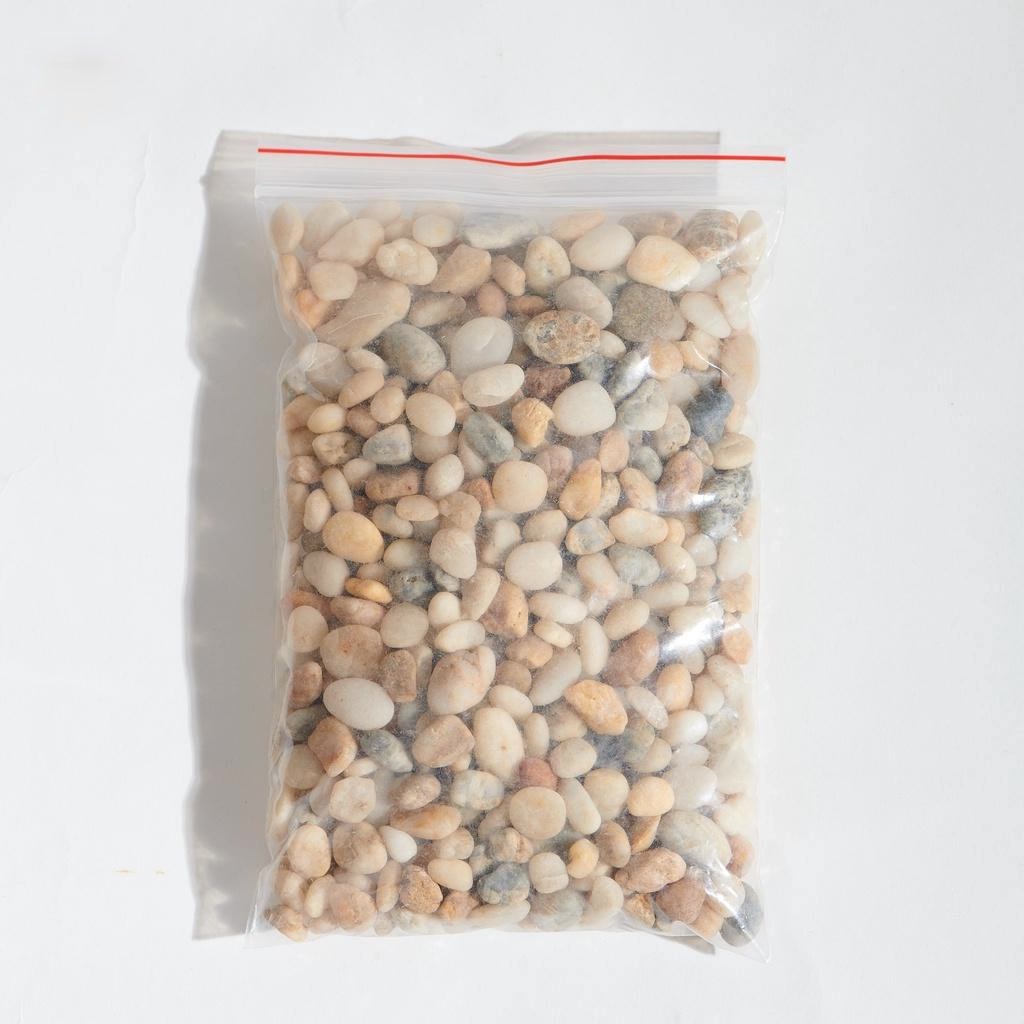Sỏi trắng, Sỏi Vàng , rải mặt Trang Trí Sen Đá, Sân Vườn/ Chậu Cây, DYI, Terrarium