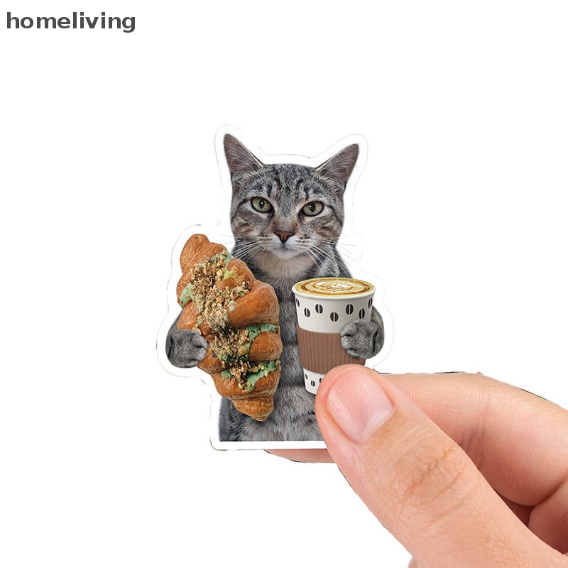 Bộ 65 Miếng Dán Họa Tiết Mèo Hoạt Hình Vui Nhộn Trang Trí Ván Trượt
