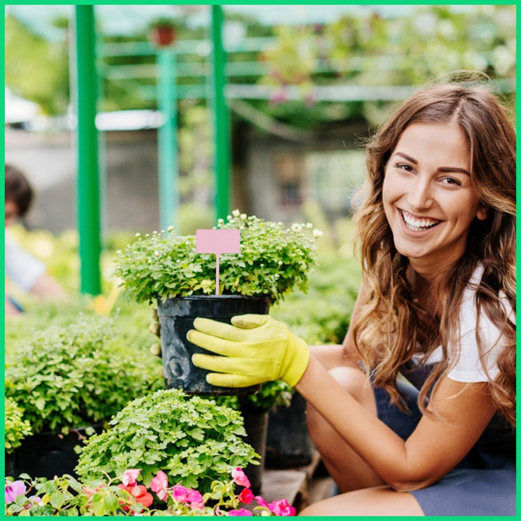 Set 12 Nhãn Chữ T Đánh Dấu Cây Trồng Trong Nhà Kính