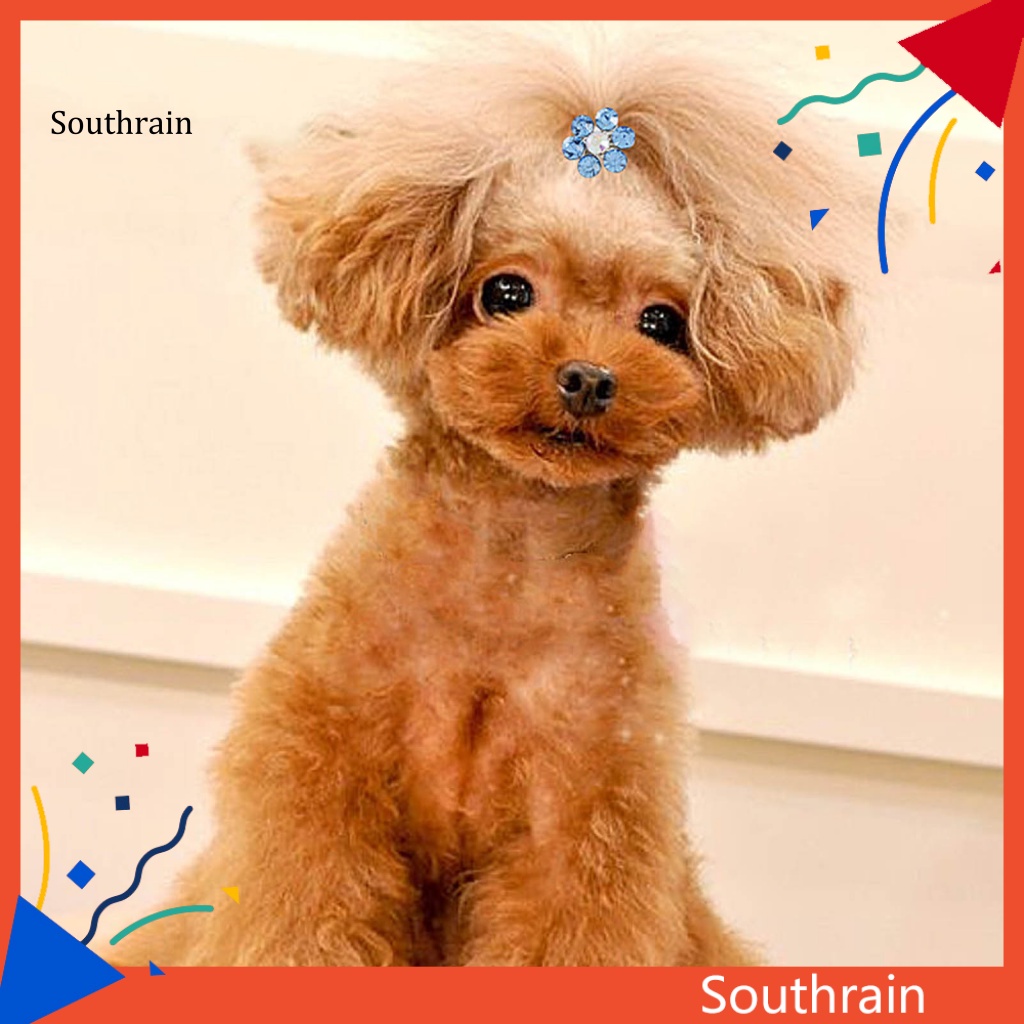 Kẹp Tóc Hình Hoa Mận Đính Đá Lấp Lánh Cho Thú Cưng