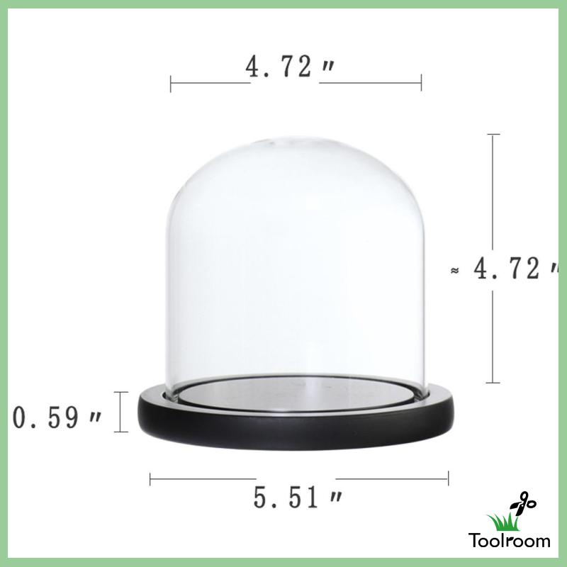 Giá Đỡ Cloche Mini Có Nắp Đậy Dùng Trang Trí Phong Cảnh