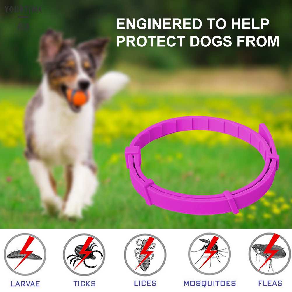 Vòng Cổ Silicone ChốNg ThấM NướC Cho Thú Cưng