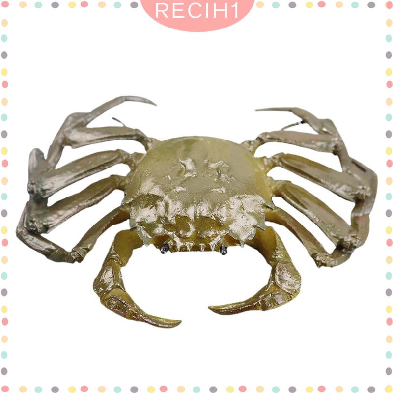 Mô Hình Sinh Vật Biển Đồ Chơi Cho Bé